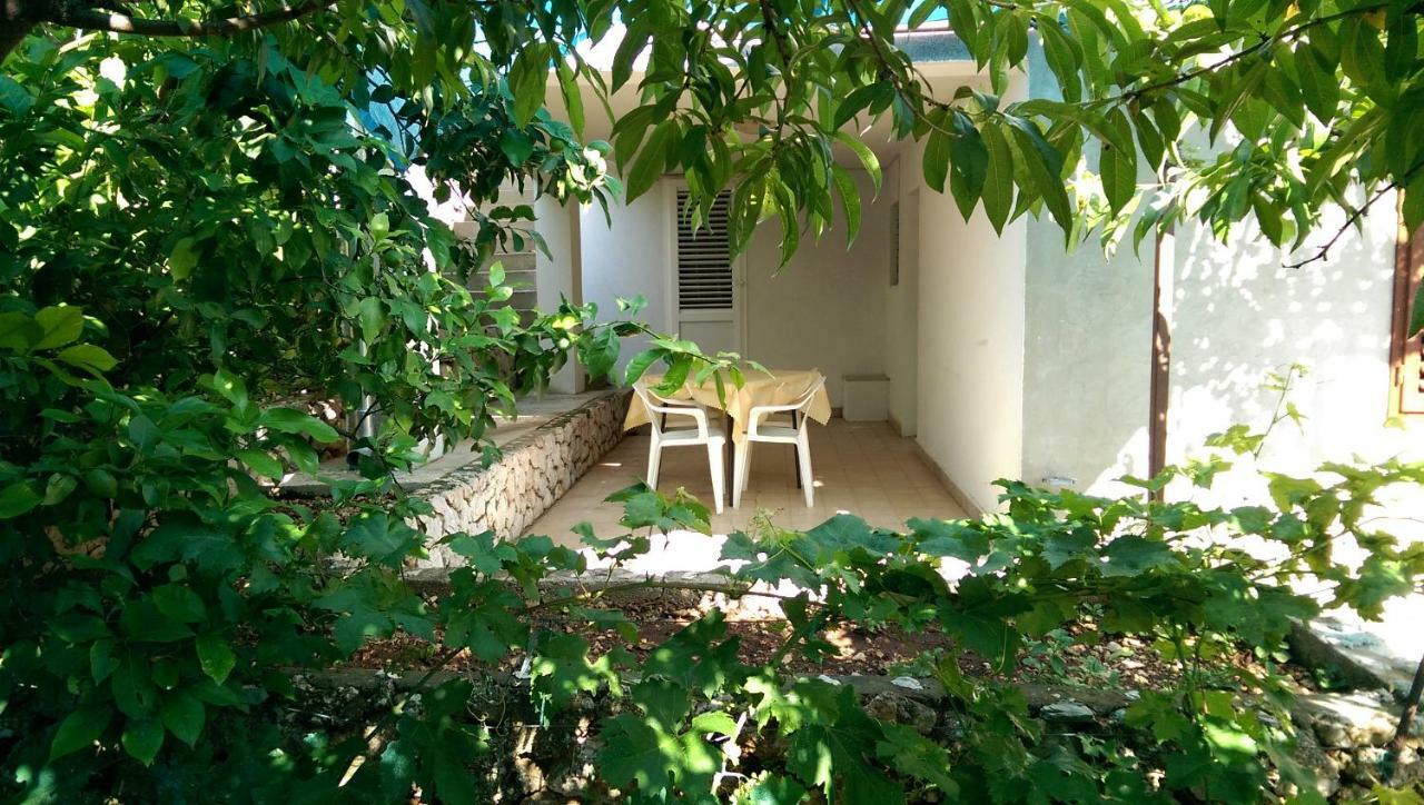 Apartmani Sandro Ivan Dolac Exterior photo